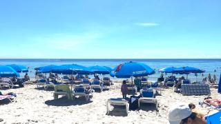 Trendy Miami Apartment Walk to the Beach - Hallandale Beach - 2