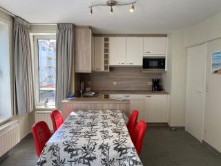 Apartment in Nieuwpoort with sea view - Nieuwpoort - 8