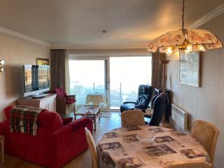 Apartment in Nieuwpoort with sea view - Nieuwpoort - 9