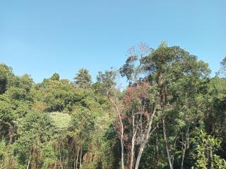 Mirante da mata - Itapecerica da Serra - 4