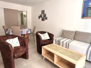 Port-Vendres - Appartement F3 avec parking et WIFI - FR-1-309-241 - Port-Vendres - 3