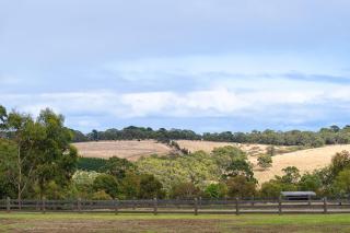 The Little Black House - Main Ridge - 6