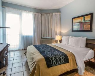 Comfort Inn & Suites - Levittown - 3
