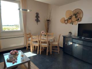 Appartement lumineux rénové, près de Nancy - FR-1-584-372 - - 8