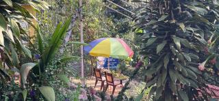 Nature's cradle resort - Yercaud - 9
