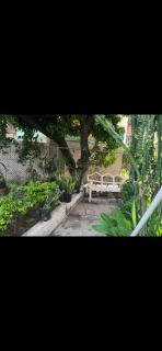 New Kingston Vibes - Kingston - 1