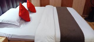 Bollywood Hotel - Solan - 1