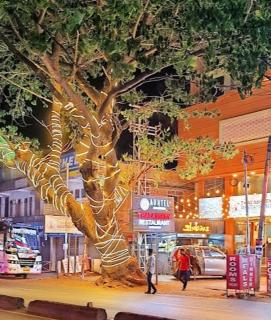 Hotel Staymax Trend - Kannur - 7