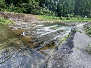 Ryuo Field - Kikuchi - 5