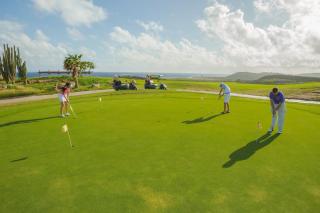 Bocobay Tierra del Sol Golf Course Resort - Palm-Eagle Beach - 5