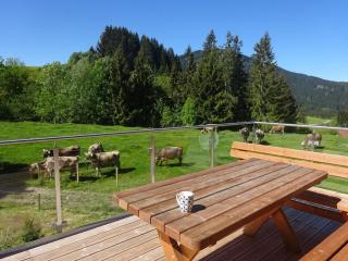 Alte Schreinerei Comfortable holiday residence - - 5