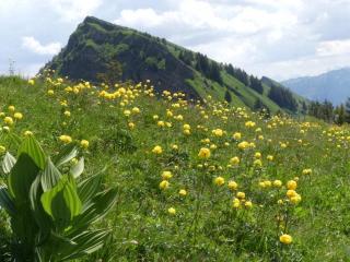 Hangspitze Comfortable holiday residence - Großdorf - 4