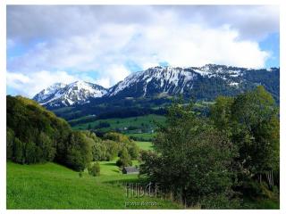Hangspitze Comfortable holiday residence - Großdorf - 5