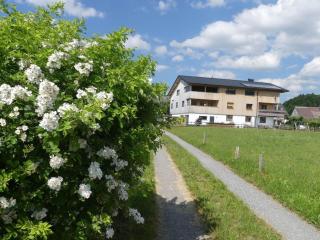 Hangspitze Comfortable holiday residence - Großdorf - 8