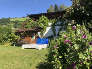 Holiday apartment in Wildschönau-Niederau with 2 bedrooms - Grafenweg - 1
