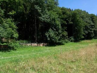 An der Waldquelle Comfortable holiday residence - Winklern - 4