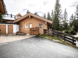 Spacious chalet in Hochkrimml with balcony - 1