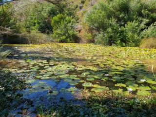 La Ferme Guest Farm - Hot Tubs - Franschhoek - 4