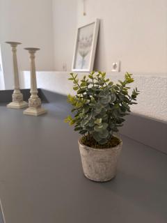 Ferienwohnung Annmelie - Spremberg - 5