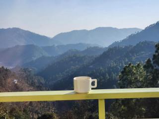 Mountain Golden Ray - Mukteshwar - 6