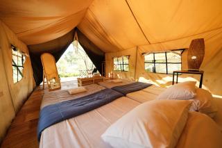 Glamping Menoreh - Giripurno - 5