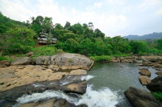 Moselberg Riverside Cottages - Munnar - 5