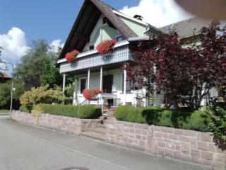 Green House - Baiersbronn - 5