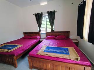 Nisarga Homestay - Gokarna - 1