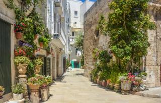 Tea Tree Apartments 2 - Castellana Grotte - 8