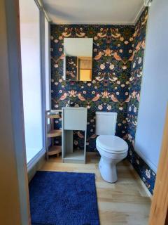 Mountain view Bespoke tiny home - 3