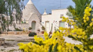 Residenza Anima Mediterranea - 7