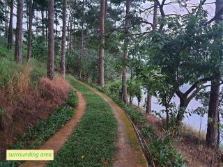 Lan anh Village - Luxury villa Tuyen lam lake view - Ấp Xuân An - 4
