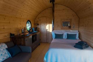 Stargaze at OLJU Lodges - 4