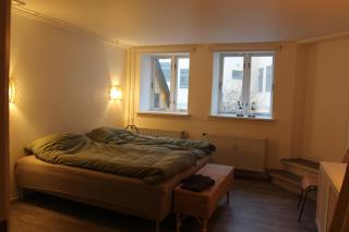 Visit wonderful Odense center - 3 bedroom appartment - Odense - 5