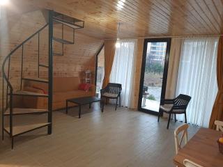 Private Cottage in the Airport District - Batumi - 6