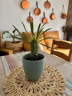 Casa Árbol - Pedro Bernardo - 7