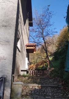 Alpaca's House: green, animals & lake view - Bellano - 9