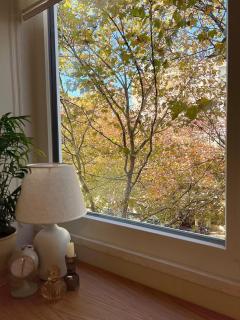 Cozy Studio near Tirana center - Tirana - 5