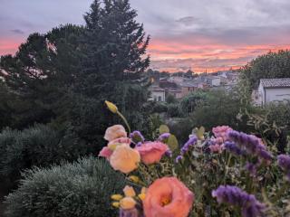 Le Nid Ensoleillé - Les Arcs-sur-Argens - 5