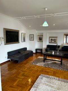 Deluxe Penthouse Private Residence 1 - Sarajevo Center - Sarajevo - 0