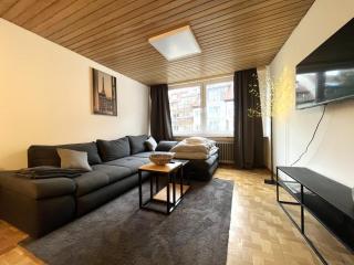 Simplex Apartments am Schwabentor - Friburgo em Brisgóvia - 3