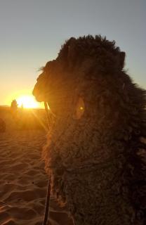 Guest House For Rent Merzane - 2