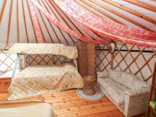 Blaidd Bach - Carmarthen - 5