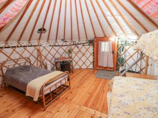 Blaidd Bach - Carmarthen - 4