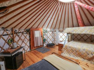 Blaidd Bach - Carmarthen - 3