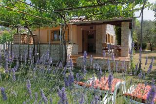 Ferienhaus Mit Schönem Garten Und Sonnenterrasse - Medulin - 8