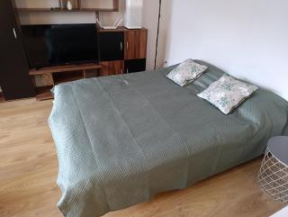 Sunny downtown apartment - Square 59 - Belgrade - 9