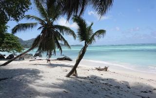 L'échappée du Cap - Spacious Self Catering Apartment - Mahe - 7