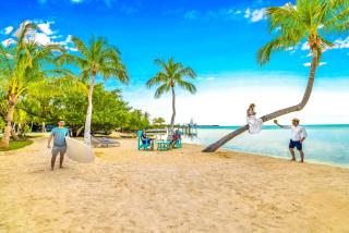 Private Beach Ocean Front Oasis Pickleball court Heated Pool Designated Paradise Key - Islamorada - 9