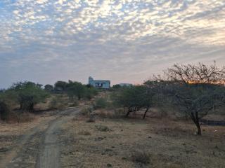The Royal Relics - Sasan Gir - 5